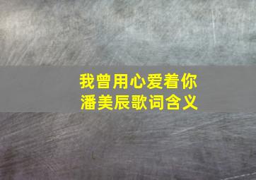 我曾用心爱着你 潘美辰歌词含义